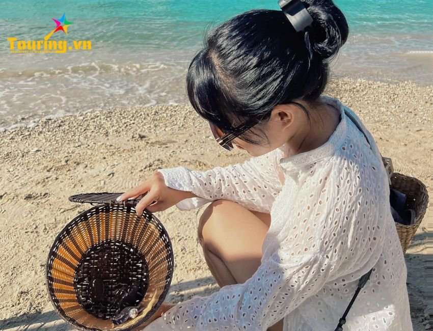 Hệ động thực vật tại Bãi Cát Vàng