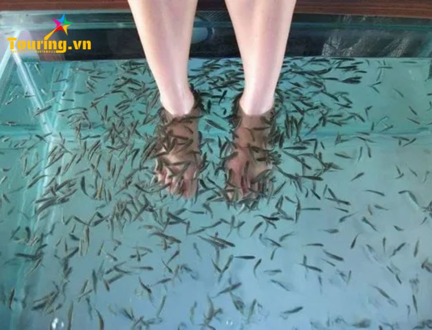 Fish Massage