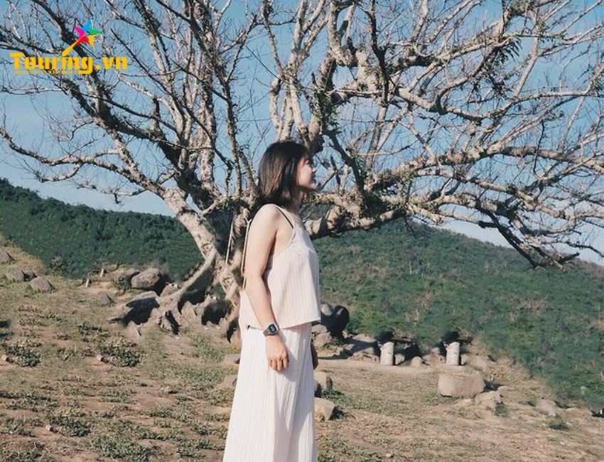 Nông trại Phú Yên B&U Farm