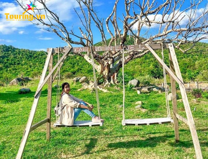 Sống ảo tại B&U Farm