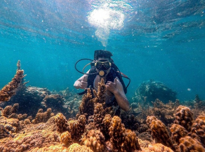 Lạng ngắm san hô Đảo Hòn Sẹo Quy Nhơn