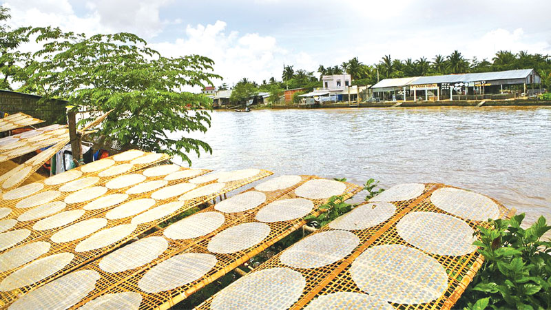 Bánh Tráng Nước Dừa Bình Định