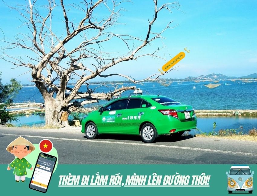 Taxi Mai Linh Quy Nhon