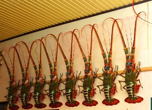 làng nghề truyền thống ở bình định