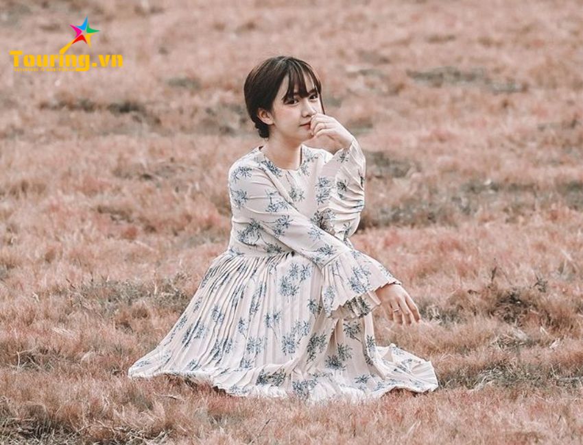 Đồi cỏ Hồng Đăk Đoa