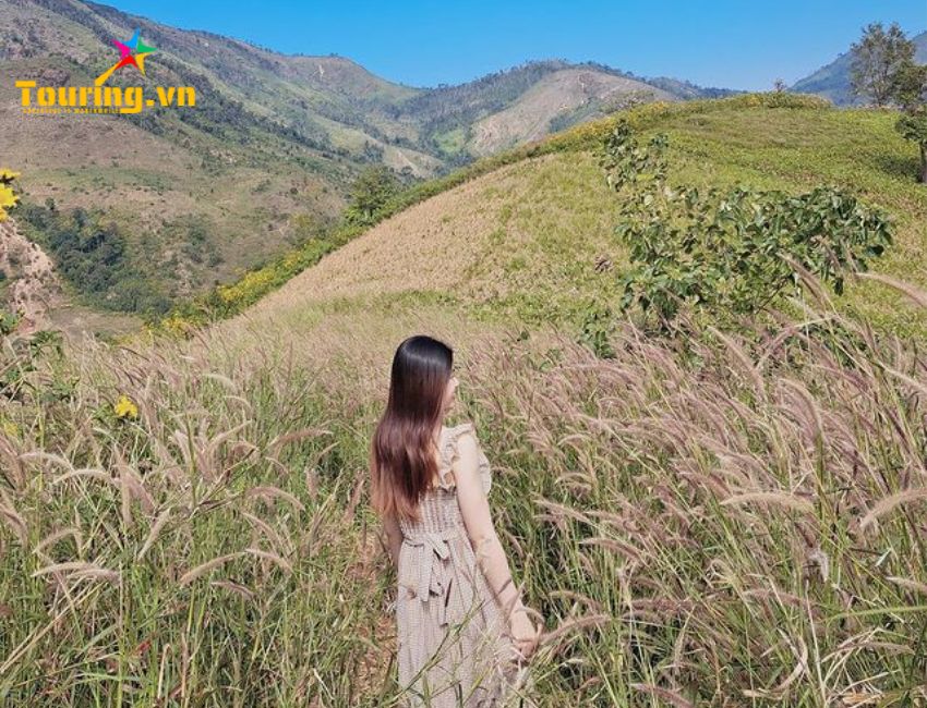 Chư Đăng Ya