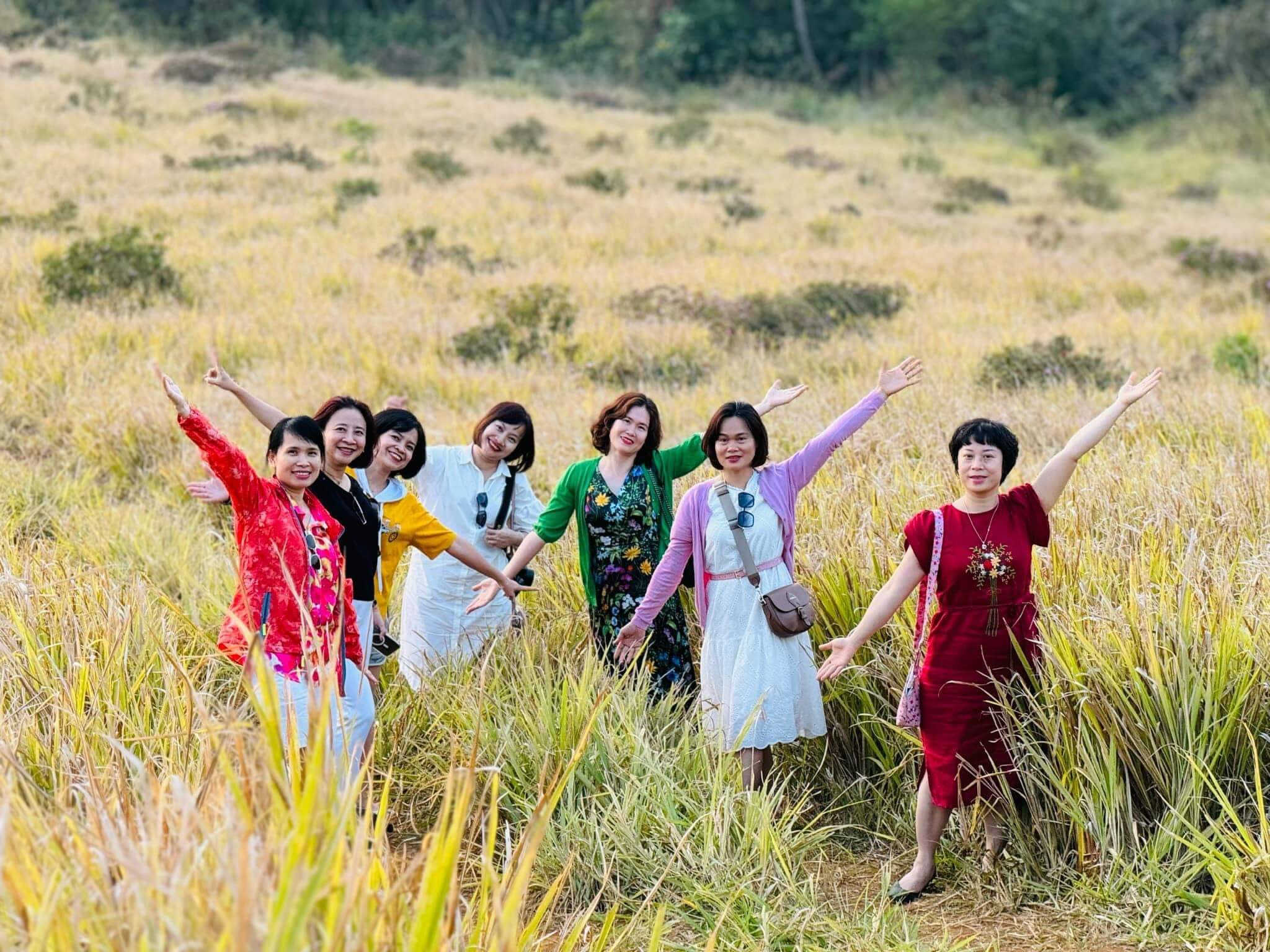 Mùa lúa chín tại Gia Lai