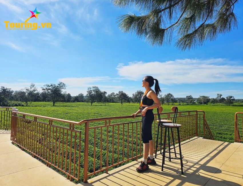 Biển Hồ Chè