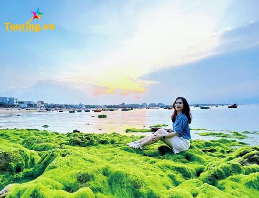 Bãi rêu xanh tại Nhơn Hải