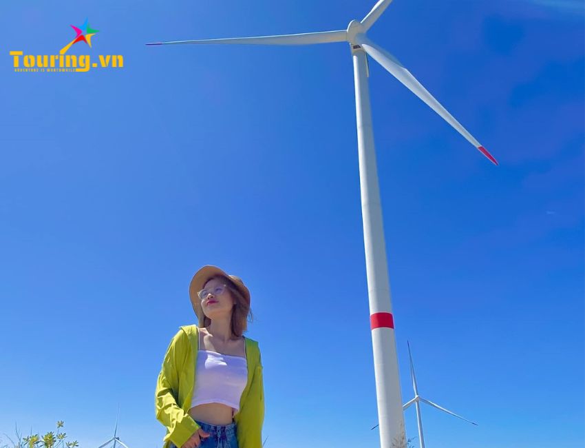 Điện Gió Phương Mai Quy Nhơn