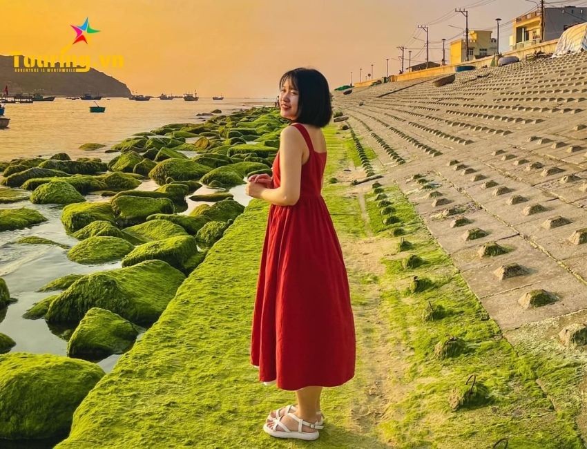 Check in Bãi Rêu Xanh Nhơn Hải
