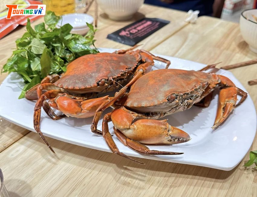 Cua đầm thị Nại