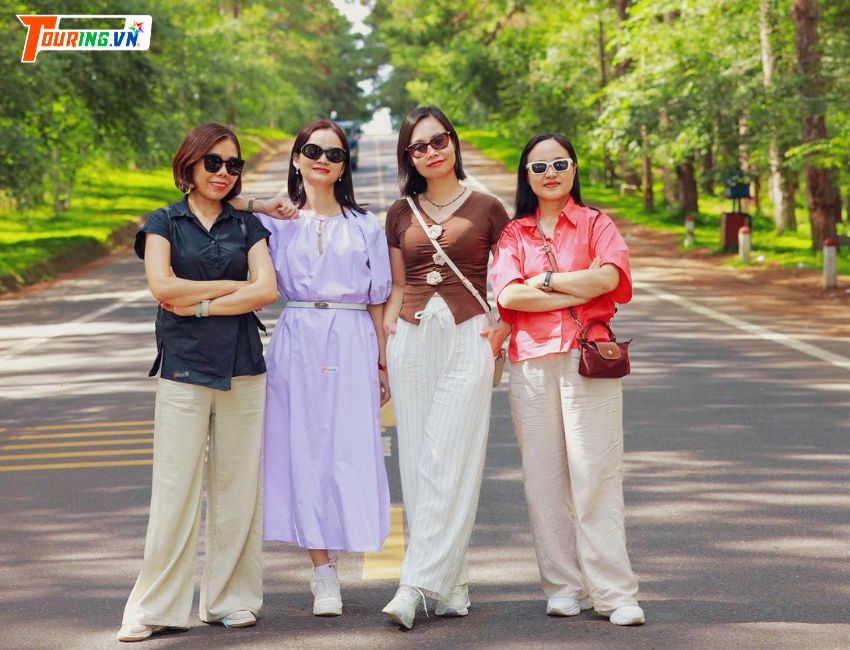 Rừng thông Măng Đen yên bình