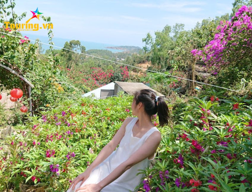 Tuyệt Tình Cốc phiên bản Quy Nhơn