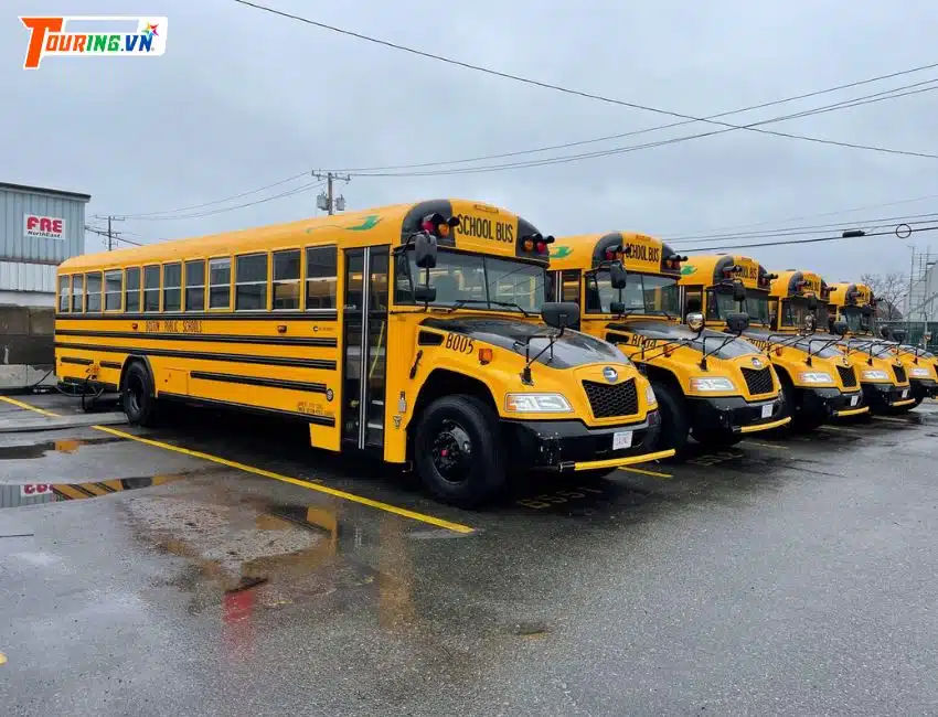 Dịch vụ xe bus trường học an toàn tuyệt đối.
