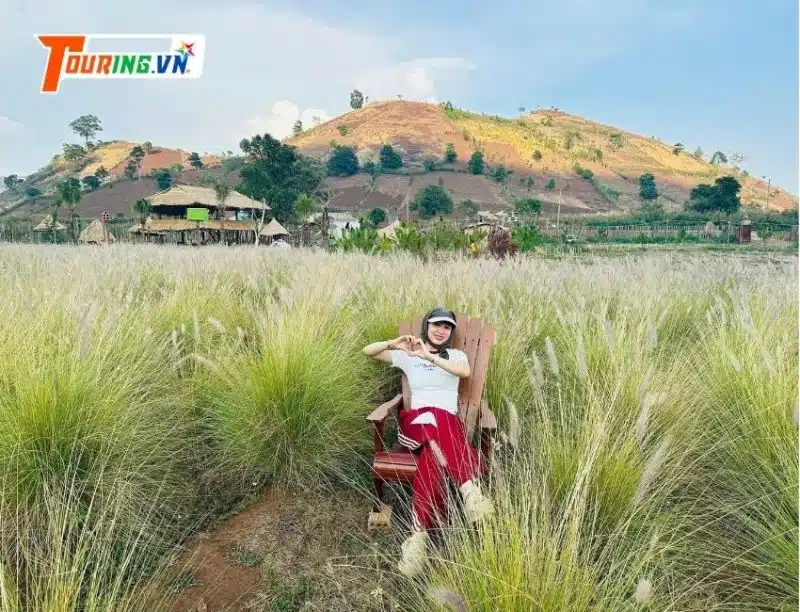 Tour Núi lửa Chư Đăng Ya mùa hoa dã quỳ vàng rực trên cao nguyên Gia Lai